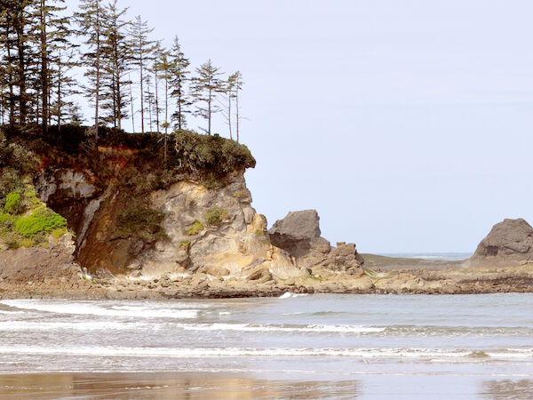 A beach scene with a rocky cliff, trees on top, gentle waves, and sandy shore, viewed under a clear sky.