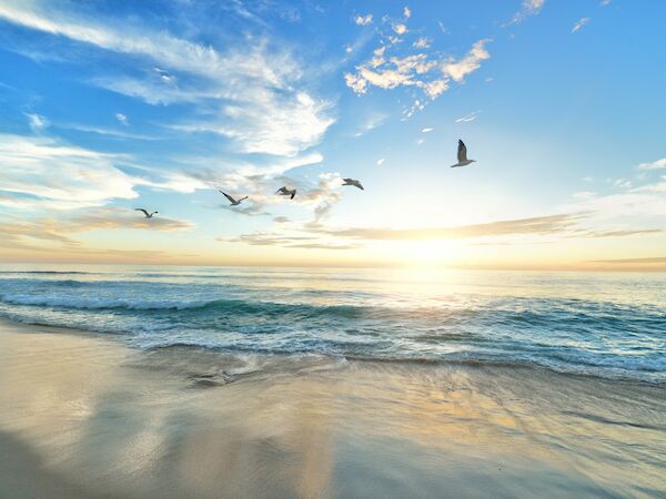 A serene beach scene at sunrise, with waves gently lapping the shore and birds flying over the ocean under a partly cloudy sky.
