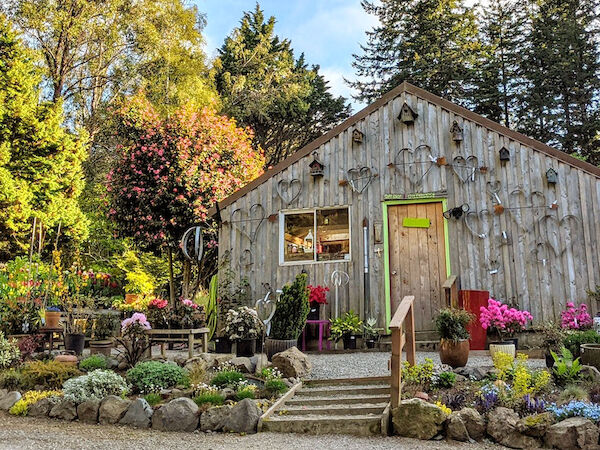 A rustic wooden building surrounded by vibrant plants and trees under a clear blue sky, creating a peaceful garden setting.