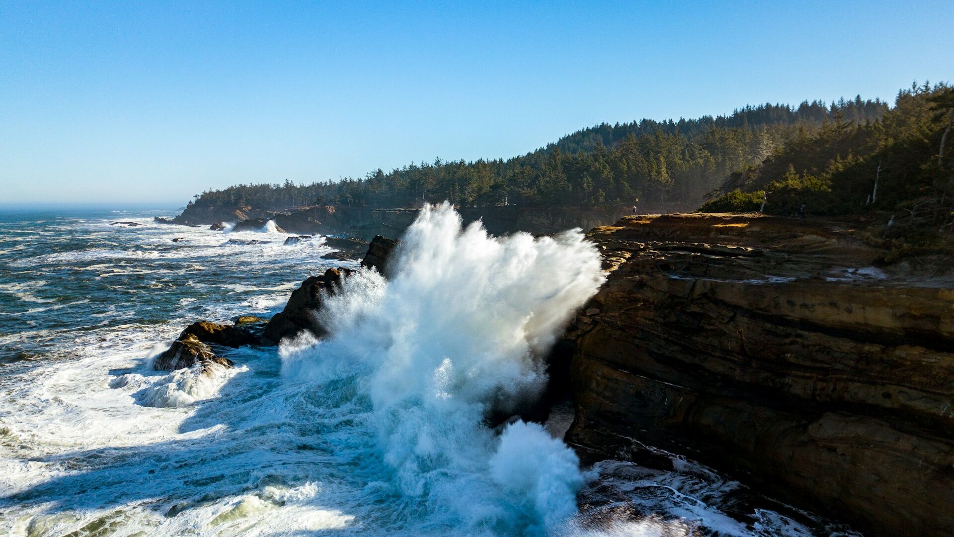 Waves crash against rocky cliffs under a clear blue sky, with a forested coastline in the background.