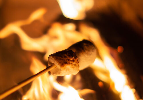 A marshmallow on a stick is being roasted over a campfire, with flames visible in the background.