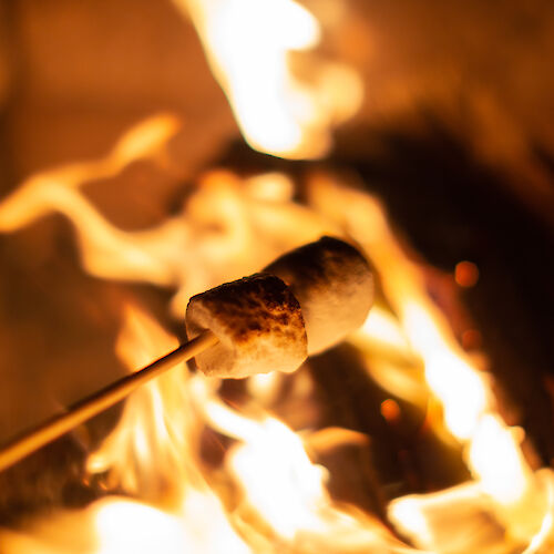 A marshmallow on a stick is being roasted over a campfire, with flames visible in the background.