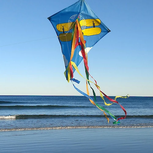 A colorful kite with long tails flying over a beach with gentle waves and clear blue sky, creating a picturesque seaside scene.