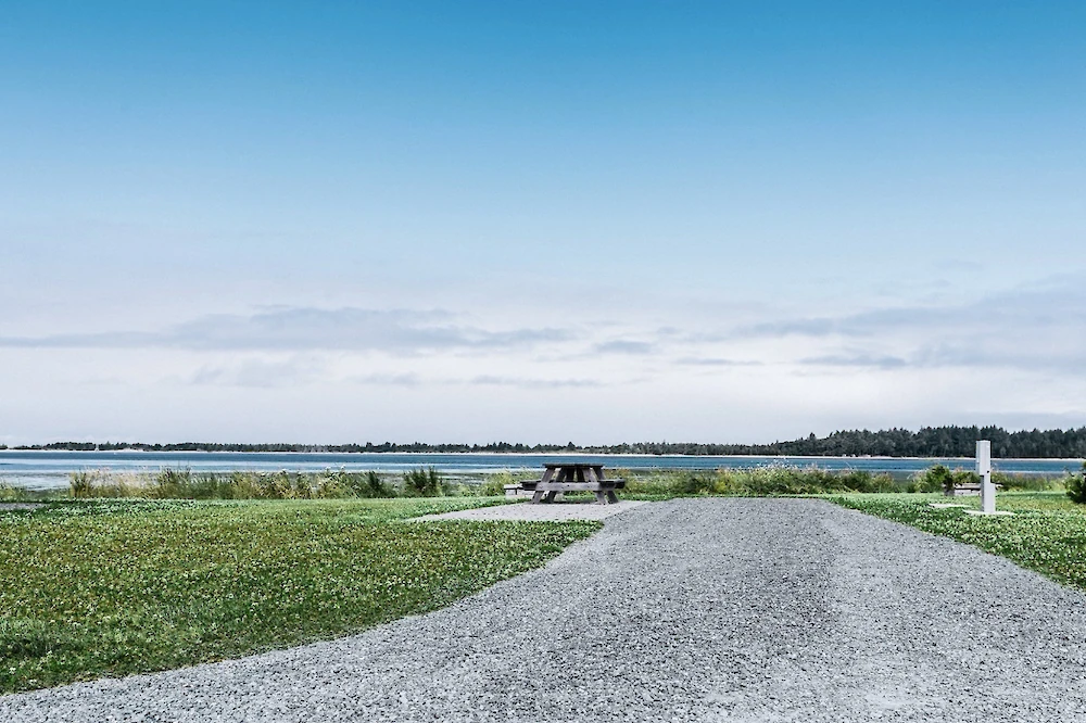 A gravel path leading to a lake with a small pier, grassy banks, and clear blue sky on a calm day.