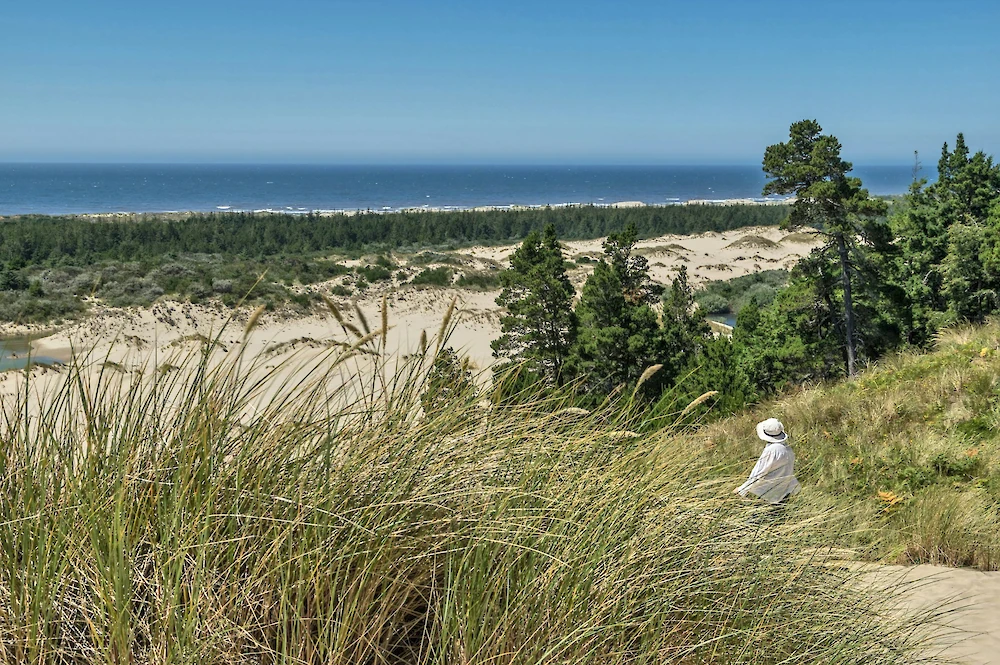Vast coastal dunes with tall grasses, pine trees, and a calm sea on the horizon; a lone white statue or sculpture sits among the sand and shrubs.