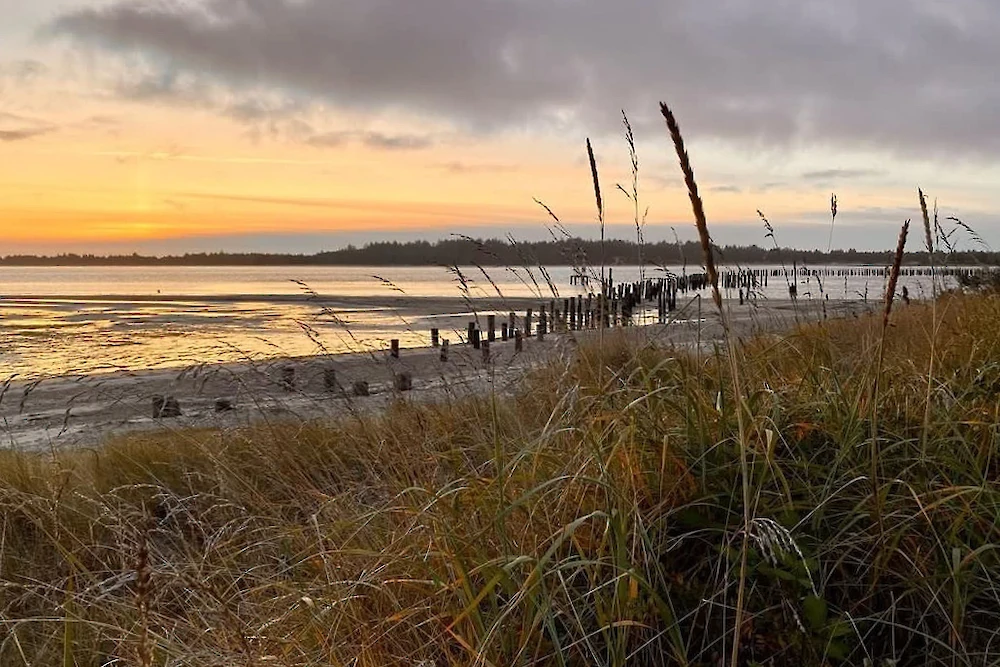 People walk along a sandy beach at sunset, grasses in the foreground, calm water, and a long pier or jetty stretching into the horizon.